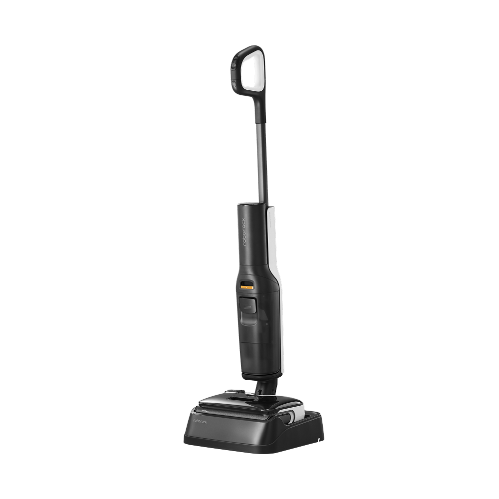 Roborock F25 LT